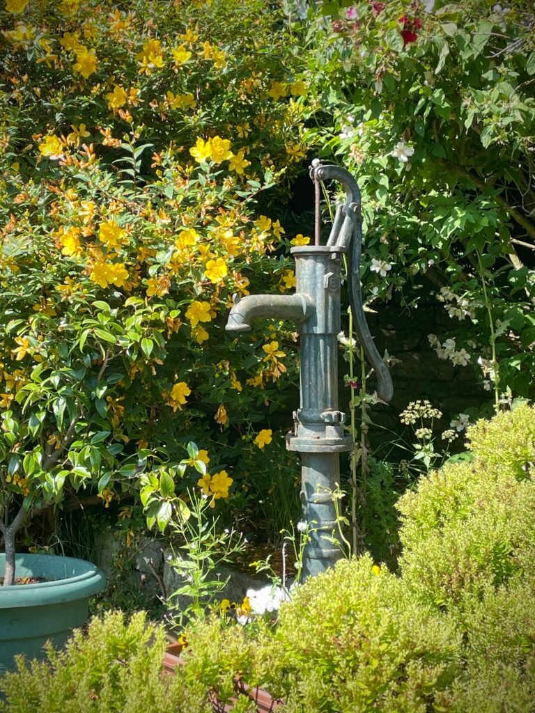 An old-fashioned cast-iron hand water pump surrounded by blooming yellow flowers in a garden.